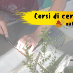 Blog thumbnail